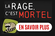 Sensibilisation à la rage